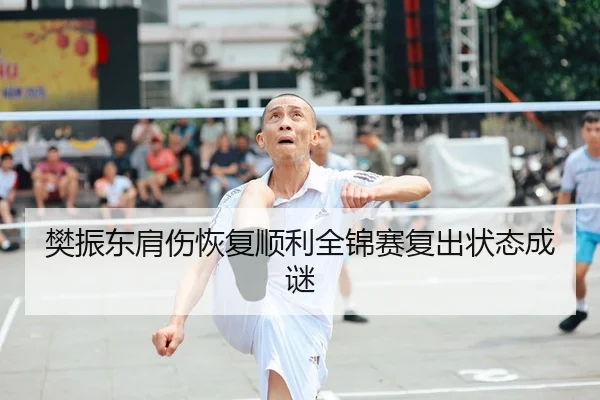 樊振东肩伤恢复顺利全锦赛复出状态成谜