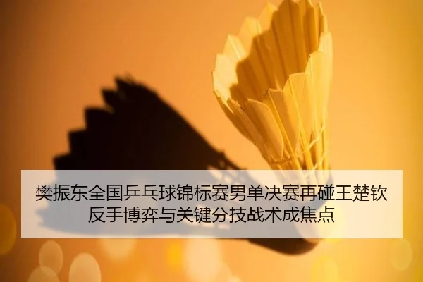 樊振东全国乒乓球锦标赛男单决赛再碰王楚钦 反手博弈与关键分技战术成焦点