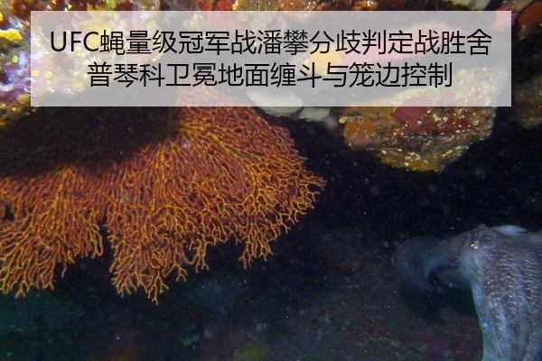 ying-liang-ji-guan-jun-zhan-pan-pan-fen-qi-pan-ding-zhan-sheng-she-pu-qin-ke-wei-mian-di-mian-chan-dou-yu-long-bian-3-294.jpg