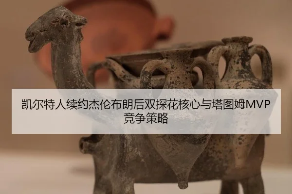 kai-er-te-ren-xu-yue-jie-lun-bu-lang-hou-shuang-tan-hua-he-xin-yu-ta-tu-mu-jing-zheng-ce-lve-2-378.jpg