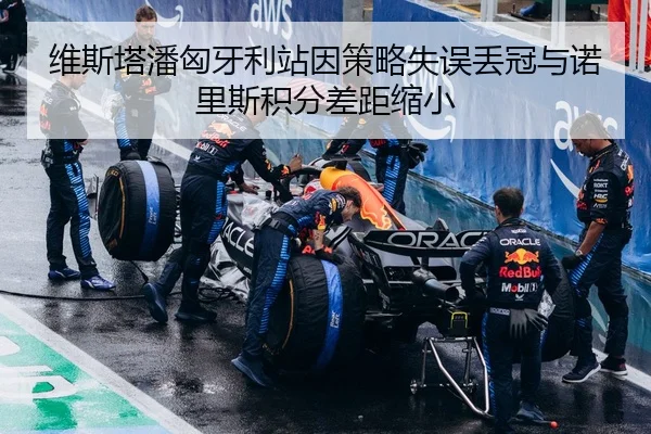 维斯塔潘匈牙利站因策略失误丢冠与诺里斯积分差距缩小